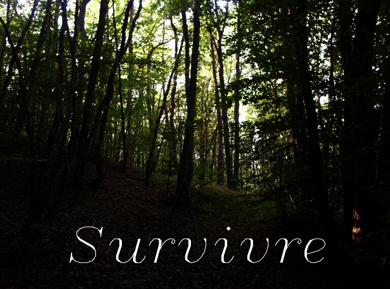 Couverture de Survivre