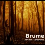 Brume