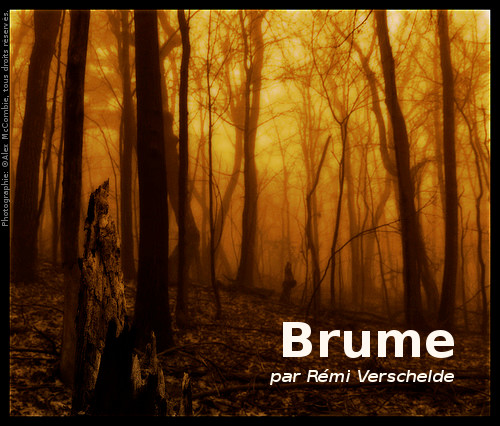 Couverture de Brume