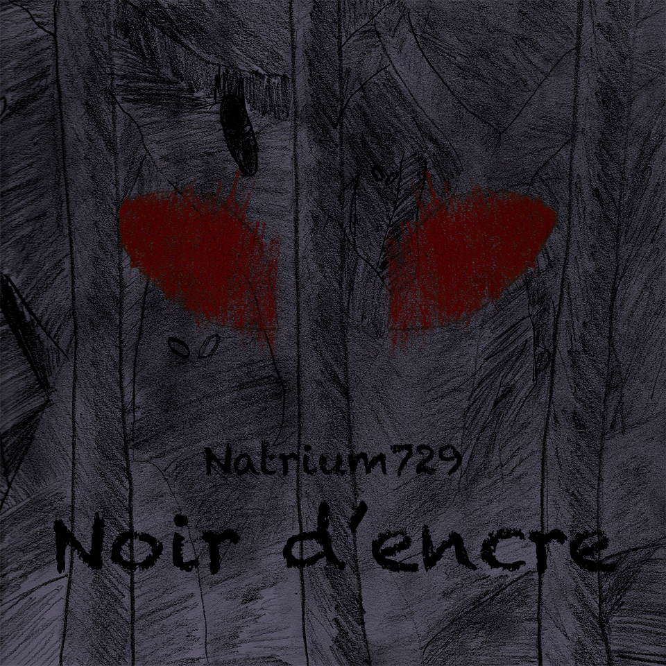 Couverture de Noir d'encre